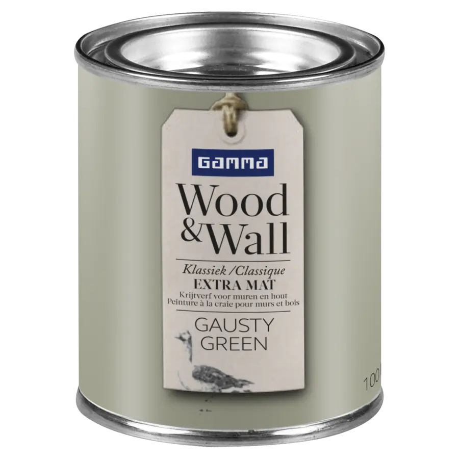 Gamma Wood&Wall krijtverf kleurtester Gausty Green 100 ml