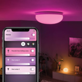Philips Hue plafondlamp Flourish