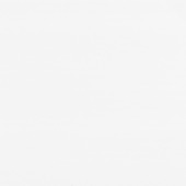 Dumaclip wand- en plafondpaneel PVC satijn wit 2.4m2, afm. 120 x 25 cm