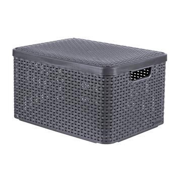 Curver opbergbox 30 l kopen? Manden | Karwei