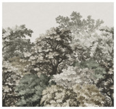 Fotobehang Morris (dessin 118748)