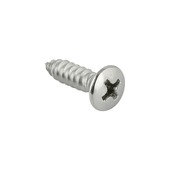 Carroserie schroef lenskop Verzinkt 4,8X19 mm 20 stuks