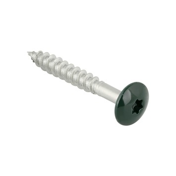 Maori aantrekken Zwaaien GAMMA | GAMMA compactplaatschroef RVS 4,8x38 mm groen 10 stuks kopen? |  torx-schroeven