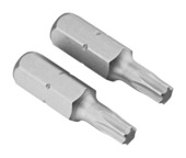 Irwin schroefbit Torx 25 mm T20 2 stuks