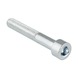 GAMMA inbusbout cilinderkop verzinkt M6x60 mm 8 stuks
