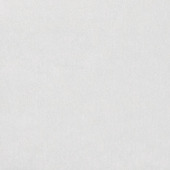 Glasfolie Rijstpapier (346-8113) 67,5x200 cm