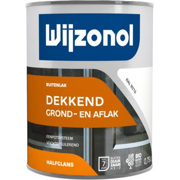 Wijzonol Grond En Aflak RAL9016 750 Ml GAMMA