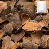 Cacaodoppen premium 1m³