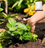 Biologische universele potgrond 1m³