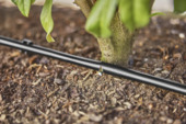 Gardena Micro Drip Startset struik/haag 50 meter