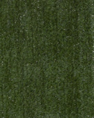 Haag Canada Super groen 100 x 300 cm