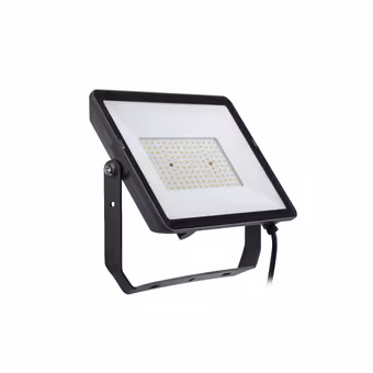 Philips ProjectLine-schijnwerper 150W 3000K
