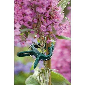 Nortene plantenclip diverse maten groen 15 stuks