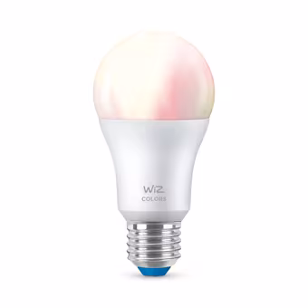 WiZ Connected LED peer E27 60W mat kleur licht dimbaar