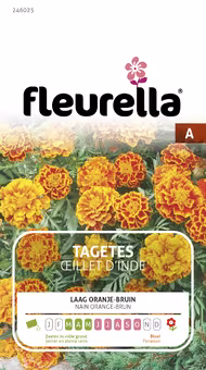 Fleurella zaden tagetes oranje/bruin