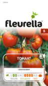 Fleurella zaden tomaat Coeur de Boeuf