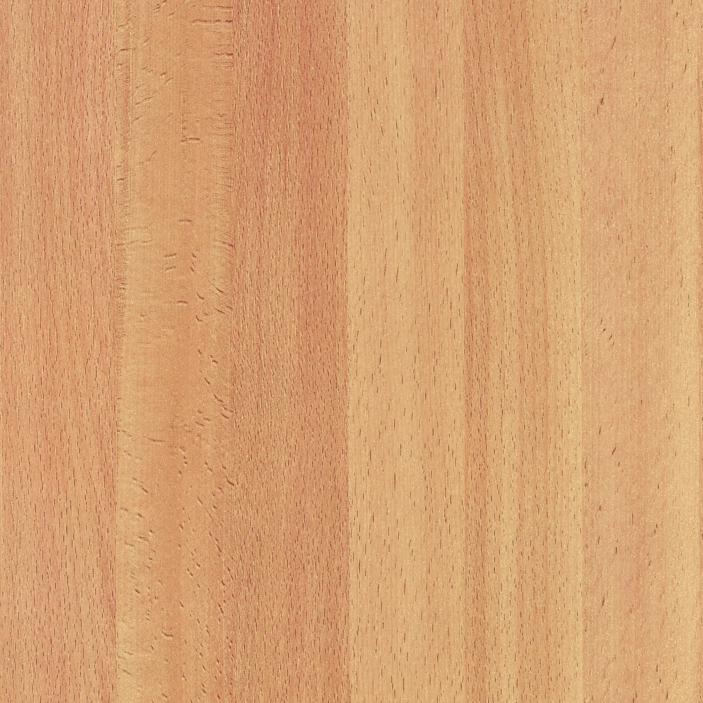 Dcfix Decoratiefolie Berken Bruin 346 0170 45X200 dcfix kopen in de aanbieding