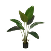 Bananen boom in pot groen - h110xd30cm