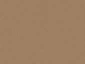 Kleurstaal GAMMA (vouw)gordijnstof Demi 4851 wheat op maat