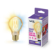 WiZ Connected LED peer E27 50W filament gold koel tot warmwit licht dimbaar