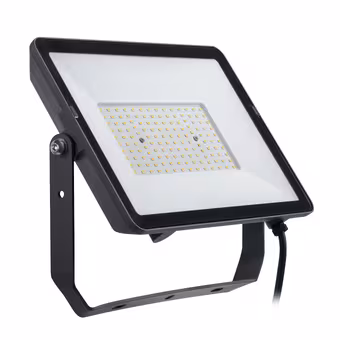 Philips ProjectLine-schijnwerper 4000K 100W