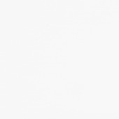 Dumapan wandpaneel PVC wit hoogglans 2,4 m2, 260x25 cm