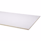 Agnes wandplaat wit stuc 2600 x 600 x 12 mm 1 stuks
