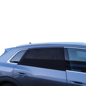 Carpoint zonnescherm sok 100 x 53 cm 2 stuks