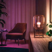 Philips Hue standaardlamp - wit en gekleurd 9W - 2 pack - E27