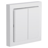 Busch Jaeger Friends of Hue Schakelaar 