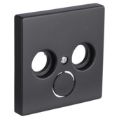 Busch-Jaeger Future Linear centraalplaat radio/TV zwart