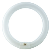 Philips TL-buis 40W cool wit