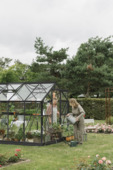 Royal Well Mary IV kweekkas aluminium zwart 8,91 m²