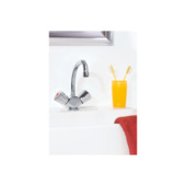 Grohe Wastafelkraan Costa Trend 2-knops Chroom