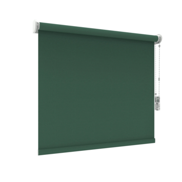 GAMMA rolgordijn verduisterend gewoon raam 1117 warm groen