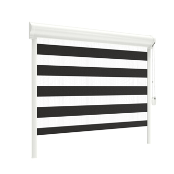 GAMMA duo rolgordijn deels verduisterend draaikiepraam kunststof/aluminium 4103 zwart