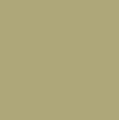 Kleurstaal GAMMA rolgordijn lichtdoorlatend lichtgroen (kleurnr. 1080) op maat