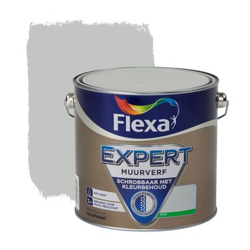 Helm Ronde Gewoon GAMMA | Flexa Expert muurverf zilvergrijs mat 2,5 liter kopen? 