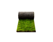 Schaduwgras graszoden per m²