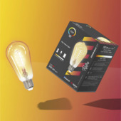 Tint Smart LED Edison Wit 5,5W E27