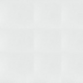 Vliesbehang protect ruit midden 9200 - 150gr