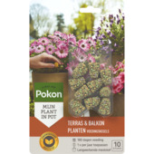 Pokon terras en balkon plantvoedingskegels 10 stuks