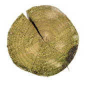 Tuinpaal rond kastanje hout ca.ø 6-8 x 250 cm