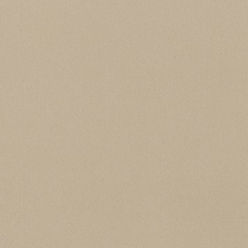 Graham & Brown Vliesbehang 2290-12 Mica Uni Beige