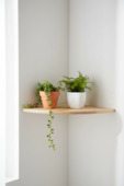Wandplank hoek XS2 massief vuren 30x30 cm 18 mm