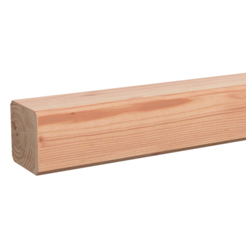 Tuinpaal Douglas ca. 6,5x6,5 cm, lengte ca. 240 cm kopen? | Tuinpalen | GAMMA