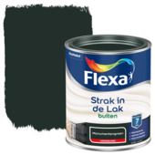 Flexa Strak in de Lak buitenlak hoogglans monumentengroen 750 ml