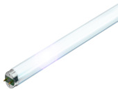 Philips TL-buis 58W cool wit