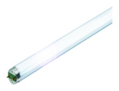 Philips TL-buis 58W warm wit