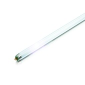 Philips TL5-buis 21W cool wit